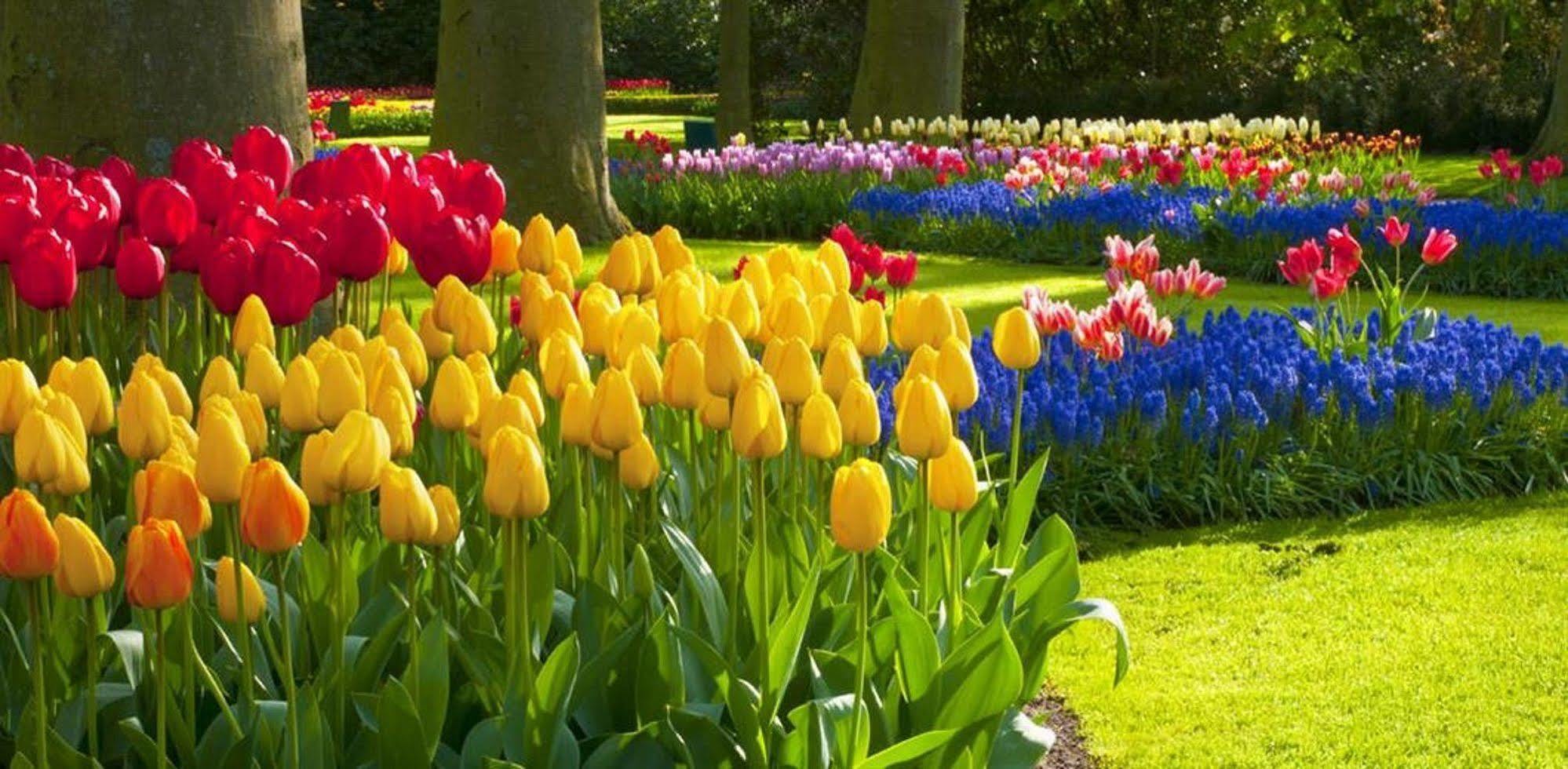 بورال Milton Park Country House Hotel & Spa المظهر الخارجي الصورة